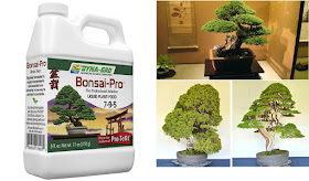 Organic Bonsai fertilizer review - Care Guide Tutorial for Bonsai Enthusiasts