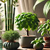 Plantas que Atraem Dinheiro e Prosperidade