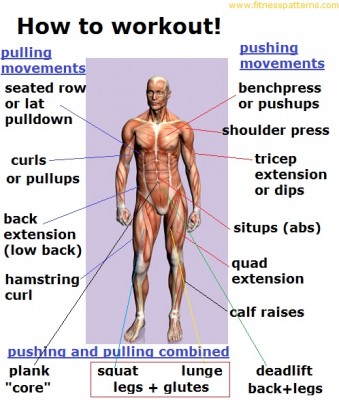 Powerlifting 3 Days A Week Routine : Printable Weight Loss Tracker