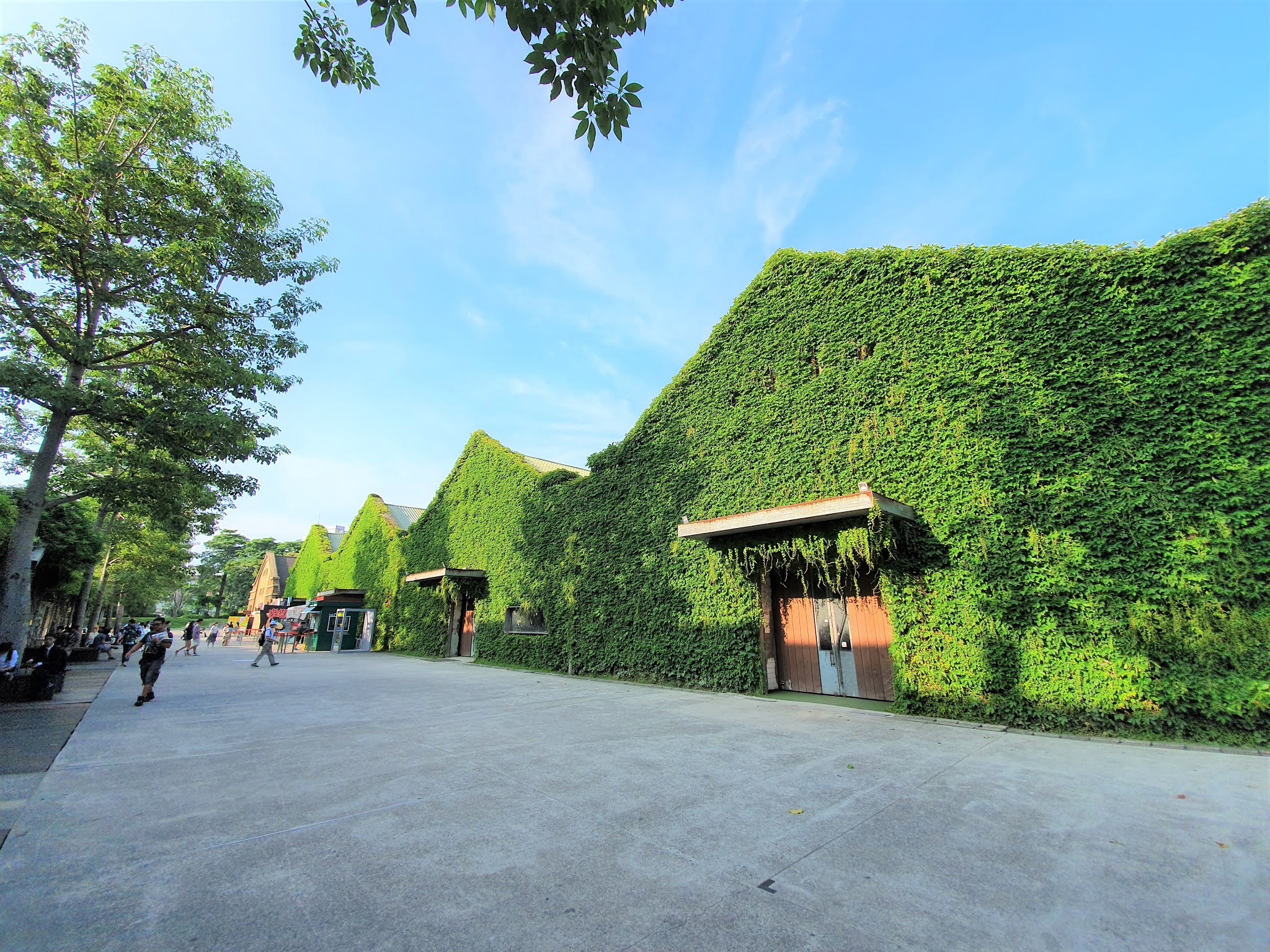 台北捷運親子旅遊華山藝文特區心得評價