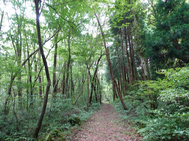 鳥取県西伯郡大山町鈑戸　坊領道（大山古道）大山寺方面へ向かいます