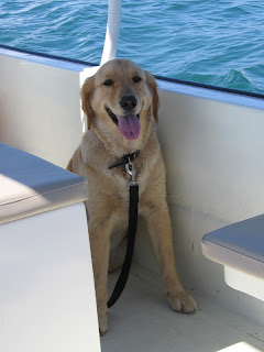 Scout onboard a boat!