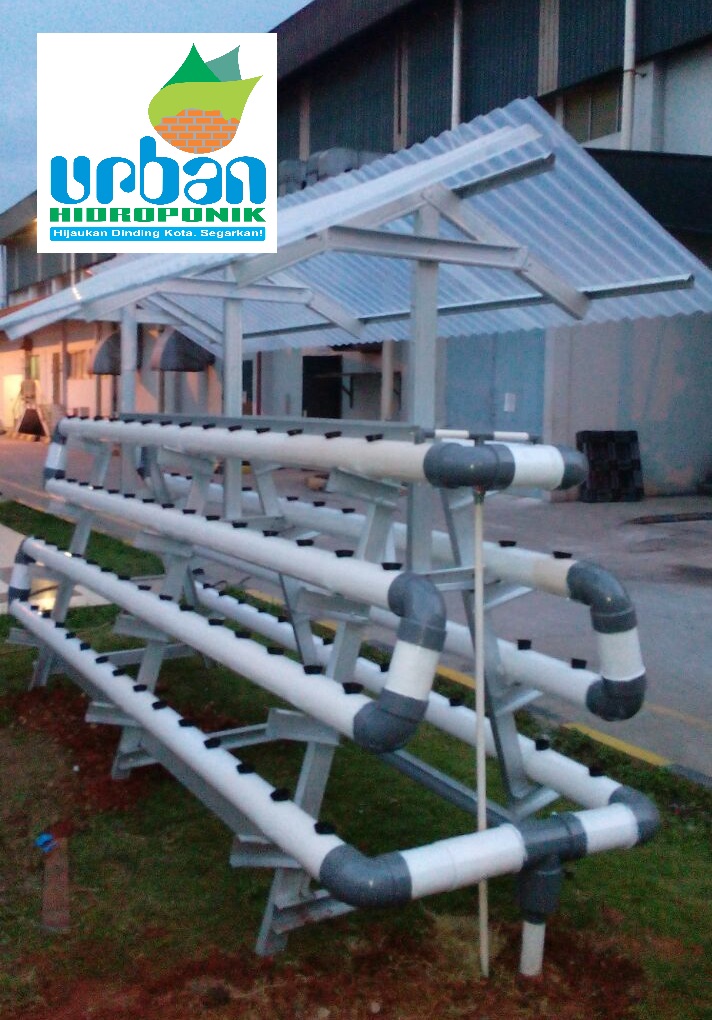 Instalasi Hidroponik  NFT DFT Portable Baja Ringan PVC 2 5 Desa Mulyasari