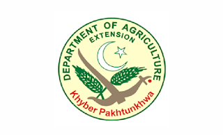 Agriculture Department KPK Jobs 2022 in Pakistan