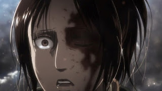 進撃の巨人 ハンジゾエ Attack on Titan Hanji Zoe