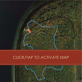 Click to activate map