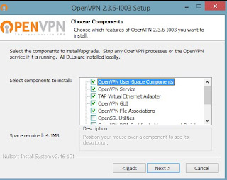 openvpn_client