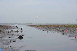 Khlong Lam San, Waterfowl Park