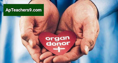 Organ Donation Rules in India