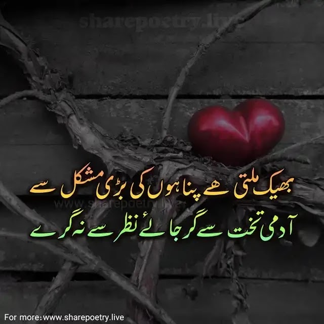 Reality Shayari in Urdu - About Life Poetry 2022