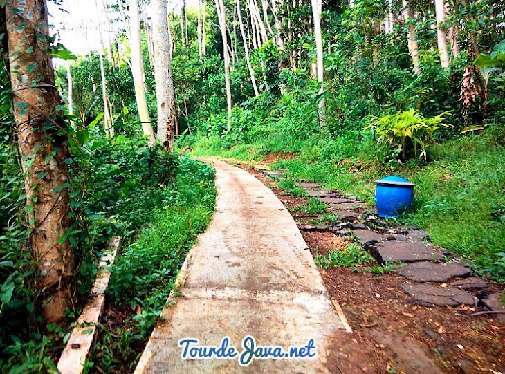 jalan setapak menuju pantai gatra