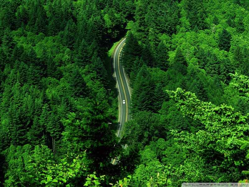 roadscape-wallpaper-800x600.jpg