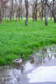 Parcul Tineretului Bucuresti primavara 2015