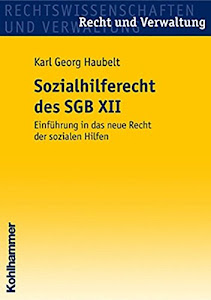 Das Sozialhilferecht des SGB XII: Einführung in das neue Recht der sozialen Hilfen (Recht und Verwaltung)