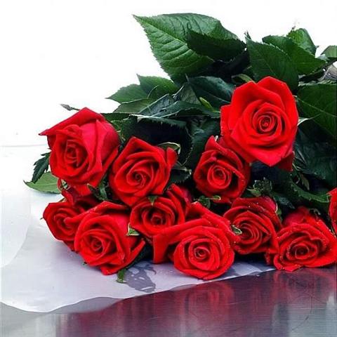 Nurul Atikah Makna disebalik warna Bunga  Ros