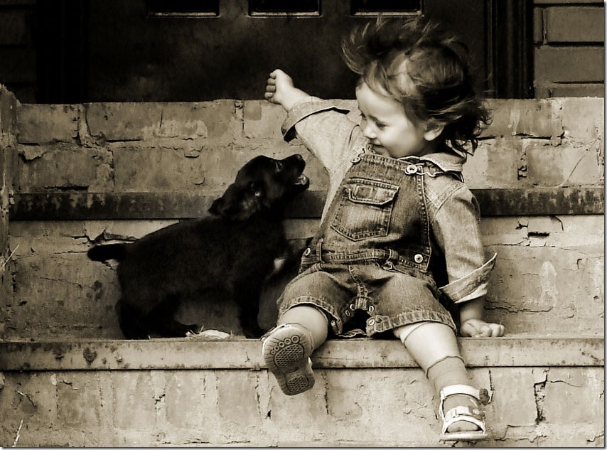 Fun! By Alina Shirova