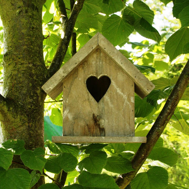 Bird House Photos