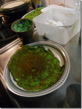 mars 2012 060 - Kopia