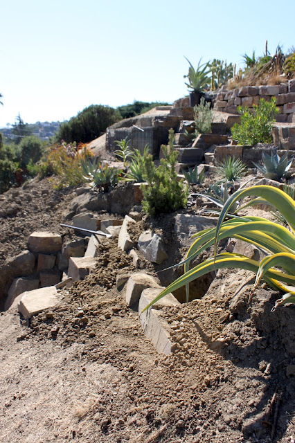 Hillside garden with hole for a new plant.