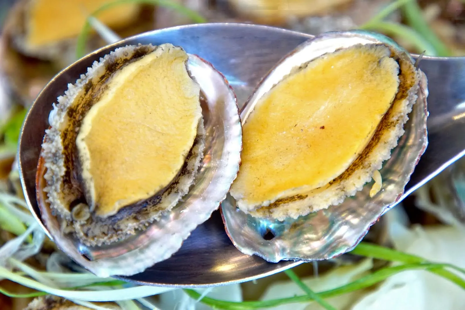 [台南][北區] 金三益健康茶飲｜滿到溢出來的超浮誇小卷意麵｜食記