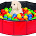 Piscina de pelotas para perros: Conozca este divertido juguete que divertirá a su mascota
