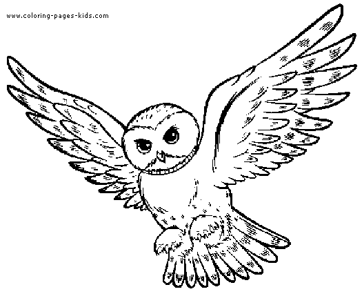 Harry Potter Owl Coloring Pages For Desktop