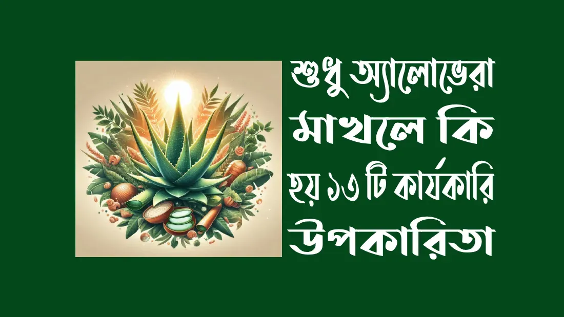 অ্যালোভেরা জেল চুলে ব্যবহারের নিয়ম