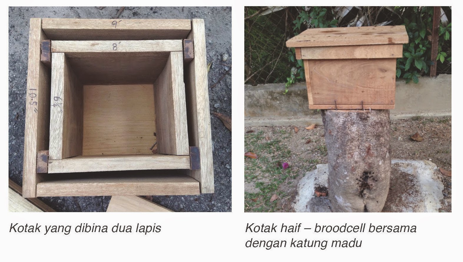 Cara Membuat Kotak  Kelulut  Kelab Lebah Kelulut 