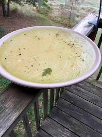 ice-covered bird bath