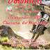 10ª Etapa Downhill