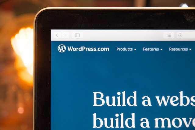 The Best  Wordpress Blog Themes In The World