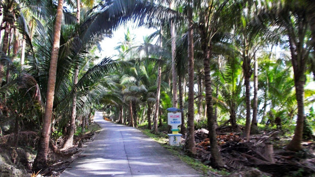 nice paved road on the western side of San Antonio Island