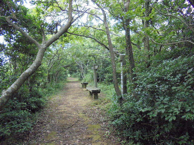 馬着山の頂上付近のベンチ