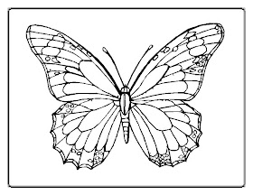 butterfly-coloring-pages00017im.jpg