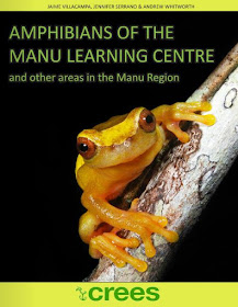 https://www.joomag.com/magazine/field-guide-amphibians-of-manu/0741739001481300238?short