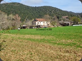 DSC03694