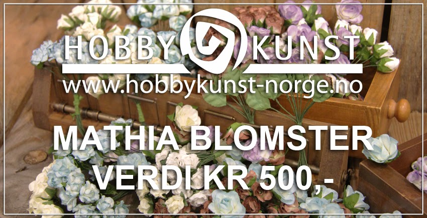 http://www.hobbykunst-norge.no/