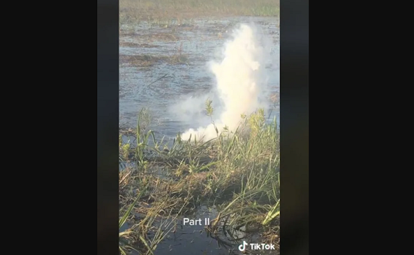 [INSOLITE / VIDEO] Dingue ! Un alligator crache de la fumée après avoir avalé un drone