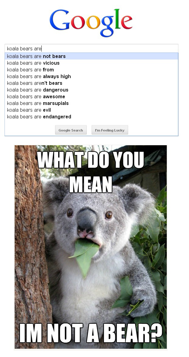 Surprised Koala