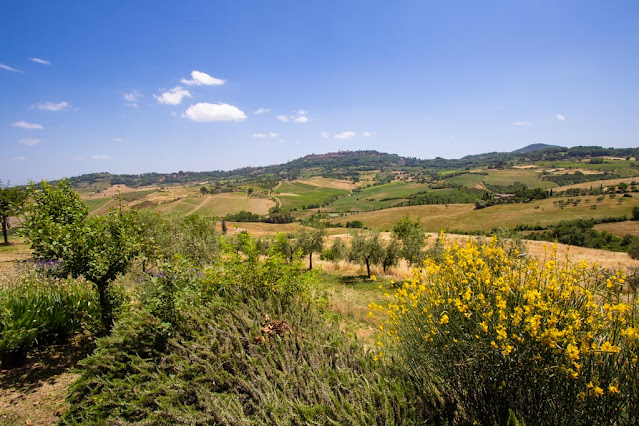 Caseificio Cugusi-Panorama