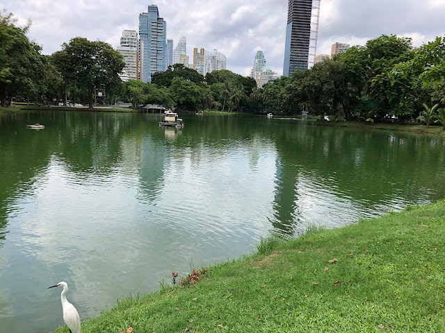 Lumphini Park Bangkok Thailand