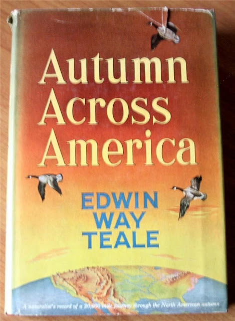 Autumn Across America Teale