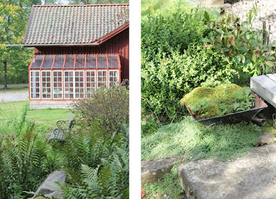 Äppelgården. Foto: Erika Åberg