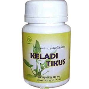 Jual Kapsul Keladi Tikus Herbal Insani