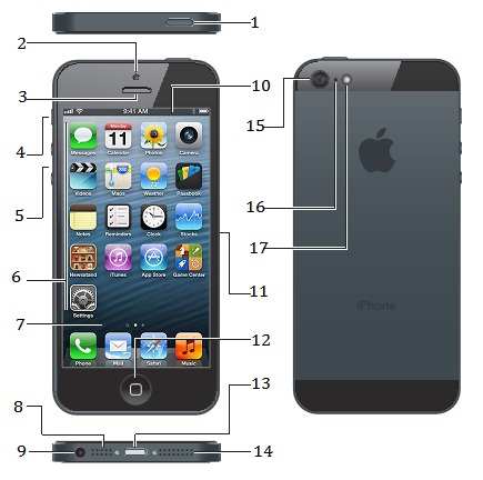 layout iphone diagram 5s for Suggestions iphone 5s microphone Keywords & Related
