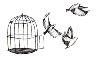 birds flying out of the cage