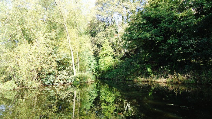 reflections in the autumn sunshine