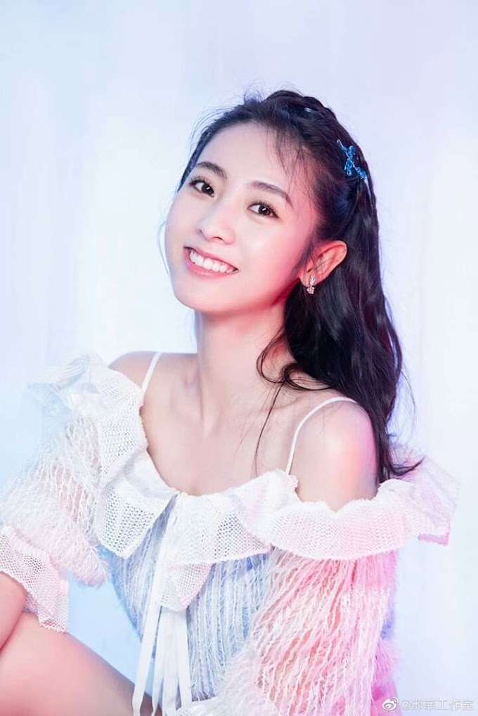 Biodata dan Profil Xing Fei | Fair Xing 邢菲