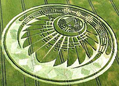 crop circle pictures