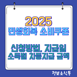 민생회복 소비쿠폰 2025 썸네일